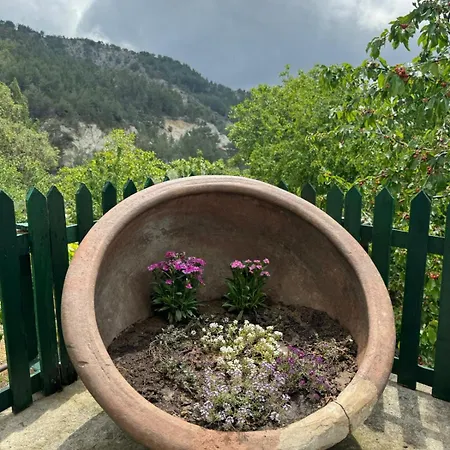 度假居 Maria's Paliomylos House *