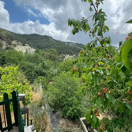 Maria's Paliomylos House בית נופש